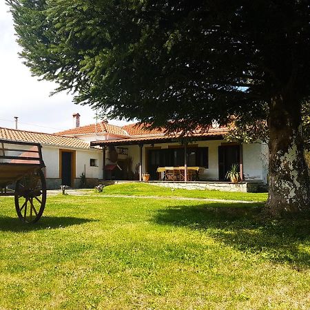 Yiayia'S Rina'S Lovely Cottage Pteria Bagian luar foto