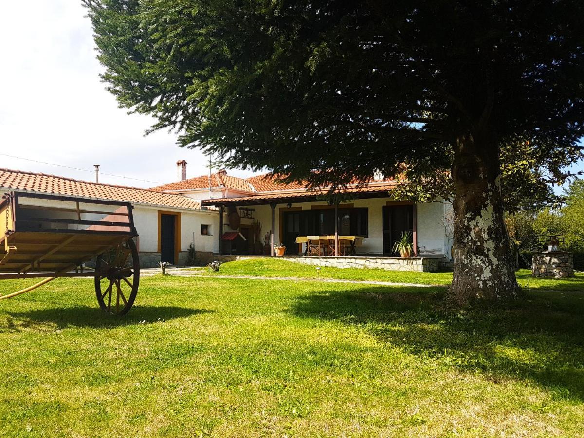 Yiayia'S Rina'S Lovely Cottage Pteria Bagian luar foto