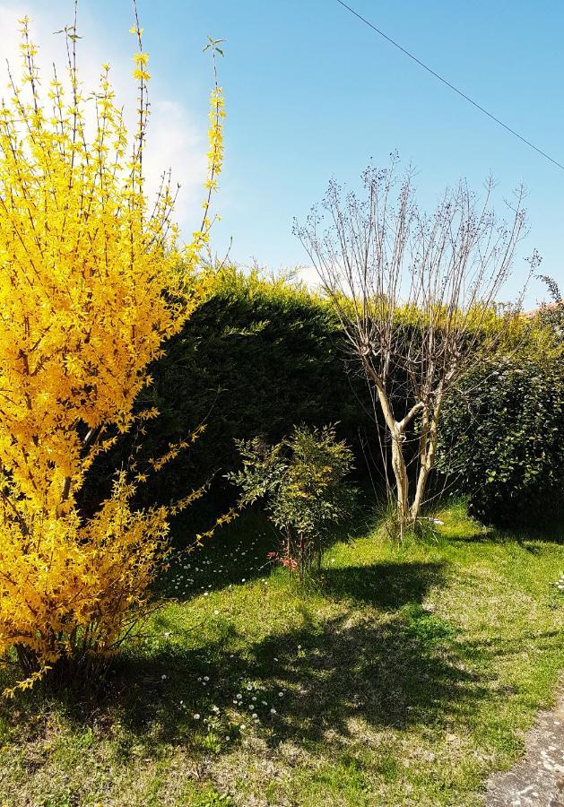 Yiayia'S Rina'S Lovely Cottage Pteria Bagian luar foto